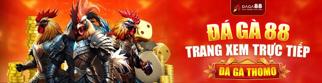 Hỗ Trợ Trực Tuyến 24/7